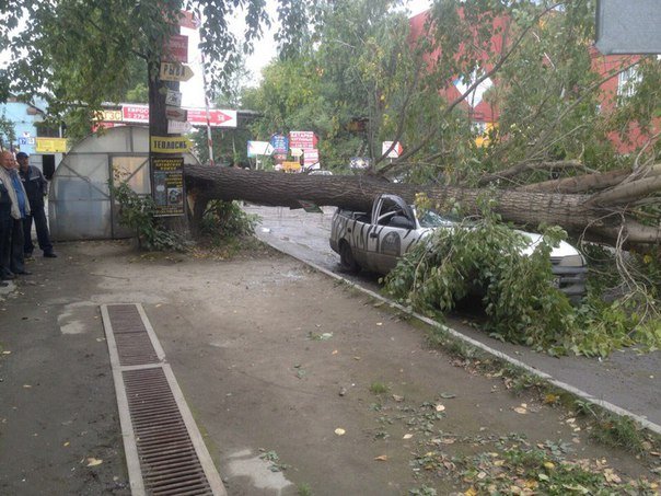 Ветер ломал деревья и обрывал провода в Новосибирске